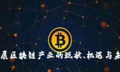 忻州发展区块链产业的现状、机遇与未来展望