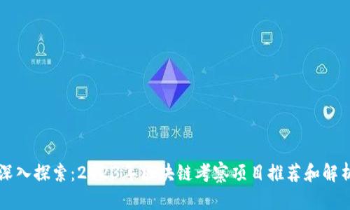 深入探索：2023年区块链考察项目推荐和解析