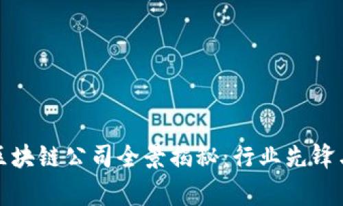 常州豪宅区块链公司全景揭秘：行业先锋与投资机遇