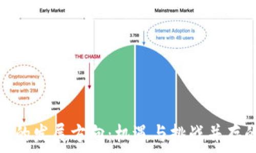   
区块链监管的发展方向：机遇与挑战并存的未来之路