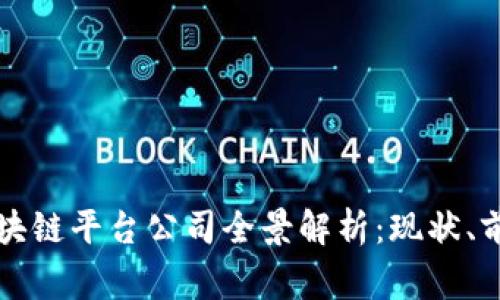 国家承认的区块链平台公司全景解析：现状、前景与发展动态