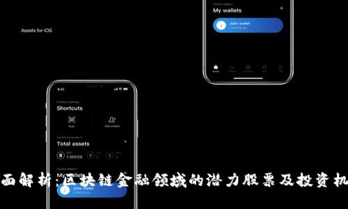全面解析：区块链金融领域的潜力股票及投资机会