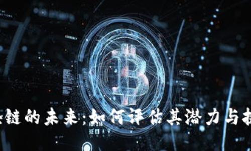 区块链的未来：如何评估其潜力与挑战？