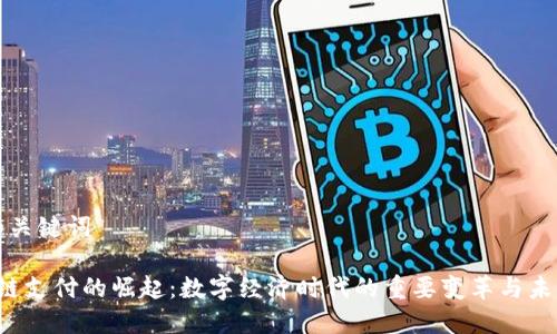思考和关键词

 区块链支付的崛起：数字经济时代的重要变革与未来展望