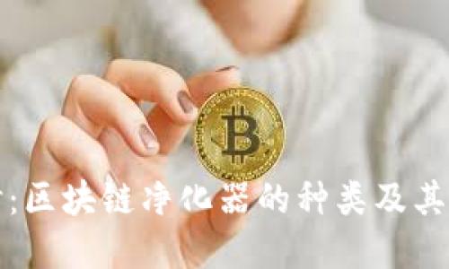 深入探讨：区块链净化器的种类及其应用领域
