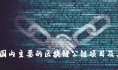 深入探讨：国内主要的区块链公链项目及其发展