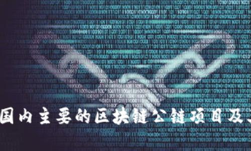 深入探讨：国内主要的区块链公链项目及其发展现状