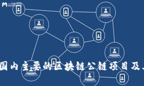 深入探讨：国内主要的区块链公链项目及其发展现状