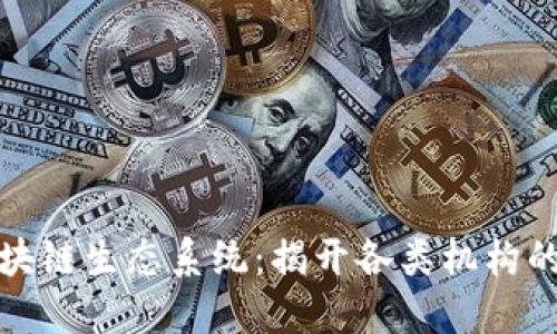 Title: 区块链生态系统：揭开各类机构的神秘面纱