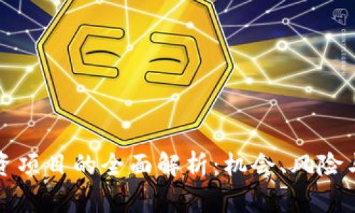 区块链投资项目的全面解析：机会、风险与未来趋势