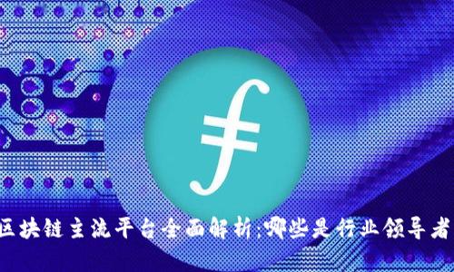 区块链主流平台全面解析：哪些是行业领导者？