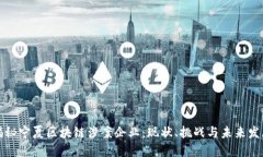 揭秘宁夏区块链涉案企业：现状、挑战与未来发