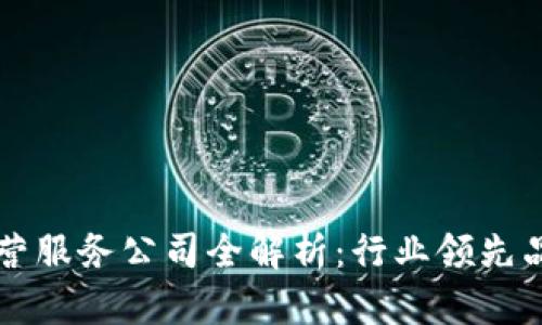 顶尖区块链运营服务公司全解析：行业领先品牌与服务范围