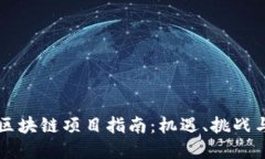 开发海外区块链项目指南：机遇、挑战与最佳实