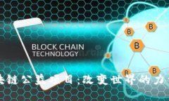 探索区块链公益项目：改变世界的力量与实践