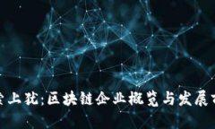 探索上犹：区块链企业概览与发展前景