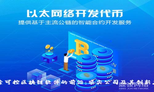 探索可控区块链软件的前沿：顶尖公司及其创新应用