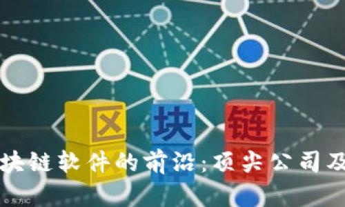 探索可控区块链软件的前沿：顶尖公司及其创新应用