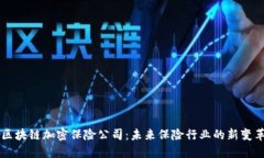 区块链加密保险公司：未来保险行业的新变革