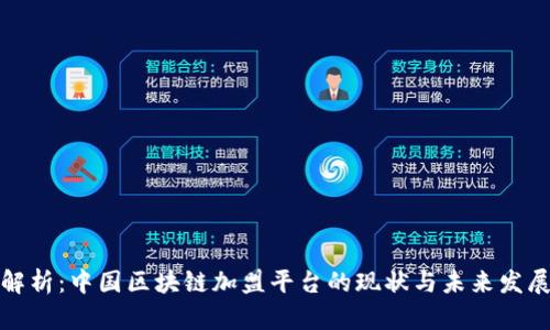 全面解析：中国区块链加盟平台的现状与未来发展趋势