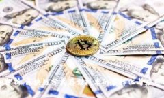 深入探析：区块链分类存储技术的多样化与应用