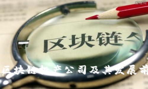 吉林市区块链投产公司及其发展前景分析