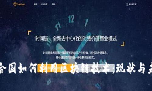联合国如何利用区块链技术：现状与未来