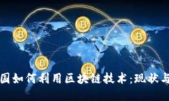 联合国如何利用区块链技术：现状与未来