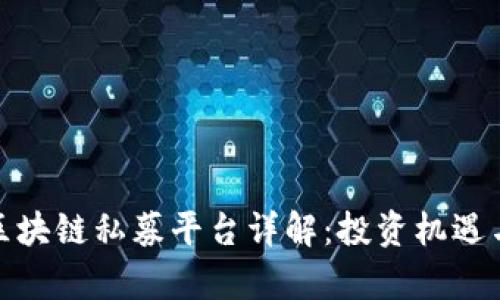 全球热门区块链私募平台详解：投资机遇与风险并存