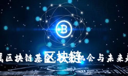 时代专属区块链基金：投资机会与未来趋势解析