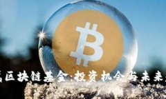 时代专属区块链基金：投资机会与未来趋势解析