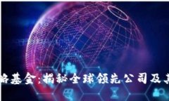 区块链战略基金：揭秘全球领先公司及其投资动