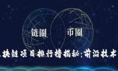  2023年国内区块链项目排行榜揭秘：前沿技术与投