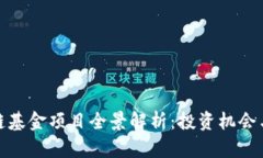娄底区块链基金项目全景解析：投资机会与市场