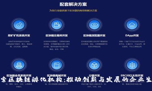 探索区块链孵化机构：推动创新与发展的企业生态