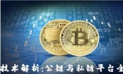 区块链技术解析：公链与私链平台全景指南