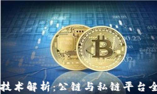 
区块链技术解析：公链与私链平台全景指南
