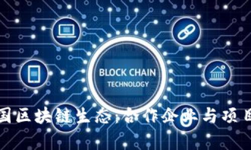 探索联合国区块链生态：合作企业与项目深入解析