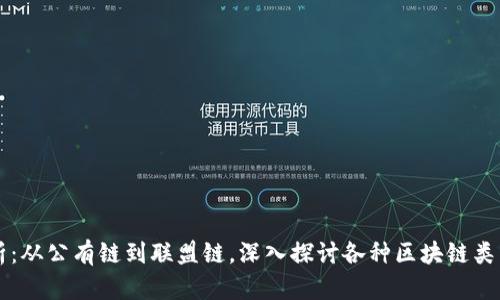 区块链形态解析：从公有链到联盟链，深入探讨各种区块链类型及其应用场景