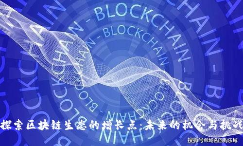 探索区块链生态的增长点：未来的机会与挑战
