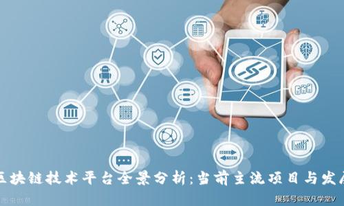 国内区块链技术平台全景分析：当前主流项目与发展趋势