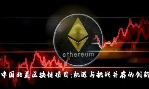 解密中国北美区块链项目：机遇与挑战并存的创新浪潮