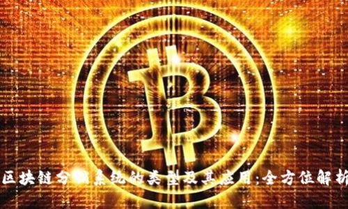 区块链分销系统的类型及其应用：全方位解析