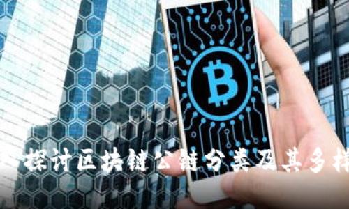 深入探讨区块链公链分类及其多样性