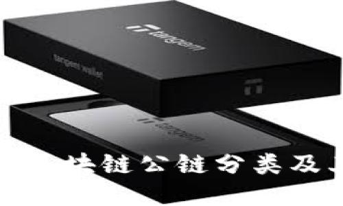 深入探讨区块链公链分类及其多样性