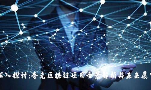 深入探讨：夸克区块链项目全景解析与未来展望