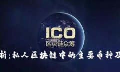 全面解析：私人区块链中的主要币种及其应用