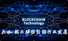 区块链第一大咖：揭示那些引领行业发展的杰出