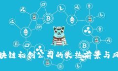 投资区块链初创公司的火热前景与风险分析