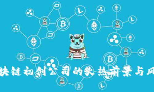 投资区块链初创公司的火热前景与风险分析